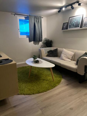 Bright and pleasant basement apartment near downtown, Lys og trivelig kjellerleilighet i sentrumsnært